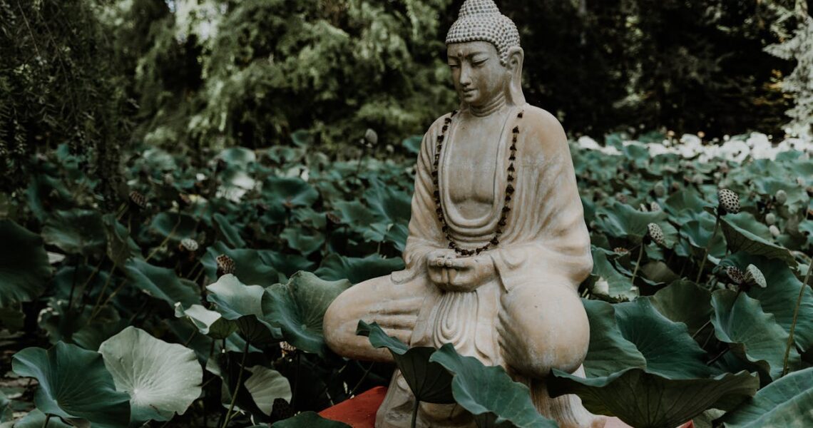 psicologo bari storia zen buddha problema risolvibile